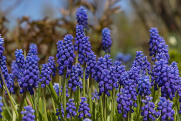 Similar image 21138057