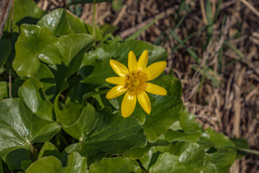 Similar image 21138058