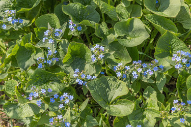 Similar image 21138060