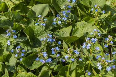 Similar image 21138061