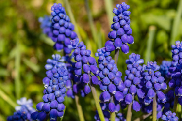 Similar image 21138062