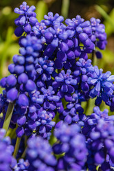 Similar image 21138063