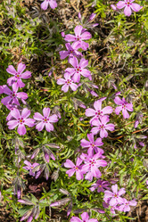 Similar image 21138065