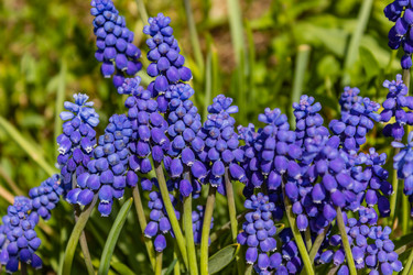 Similar image 21138066