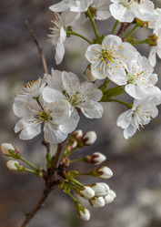 Similar image 21138067