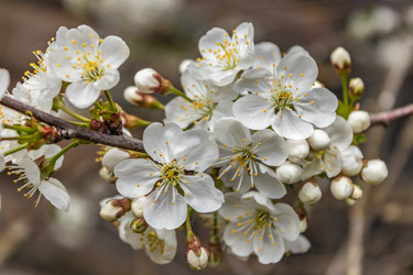 Similar image 21138071