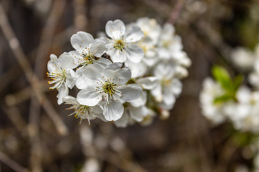 Similar image 21138072