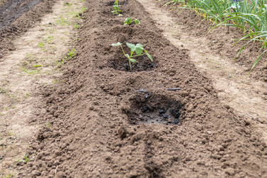 Similar image 21138073