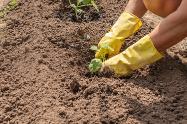 Similar image 21138074