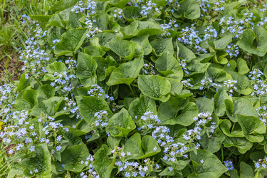 Similar image 21138075