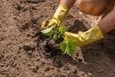 Similar image 21138076