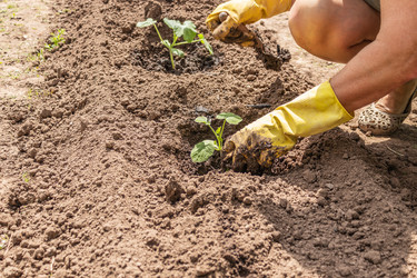 Similar image 21138077