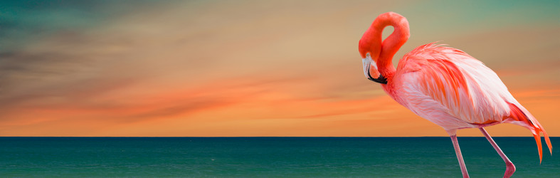 Similar image 21136667