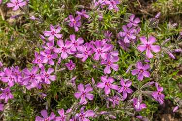 Similar image 21135668