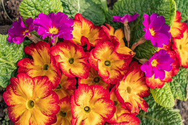 Similar image 21135669