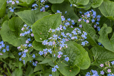 Similar image 21135670