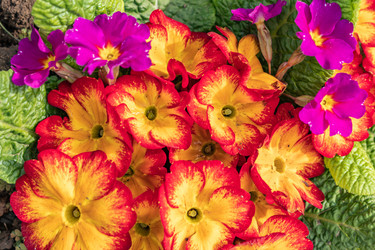 Similar image 21135671