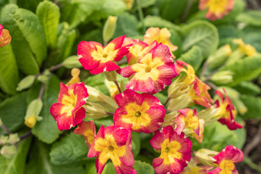 Similar image 21135672