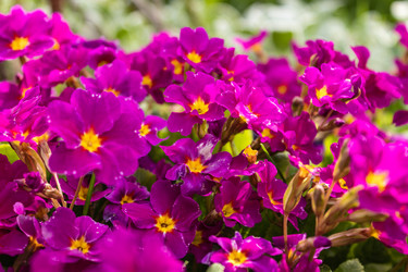 Similar image 21135673