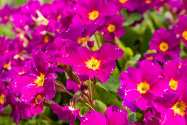 Similar image 21135674