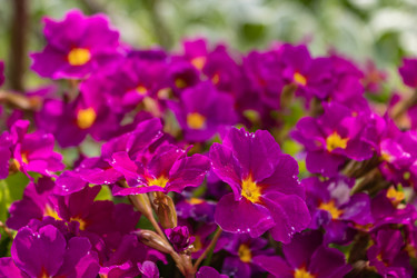 Similar image 21135675