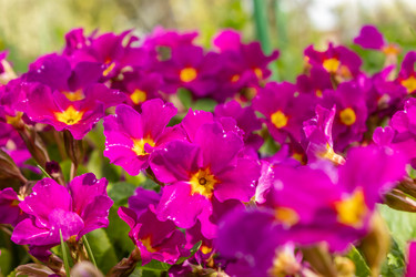 Similar image 21135676