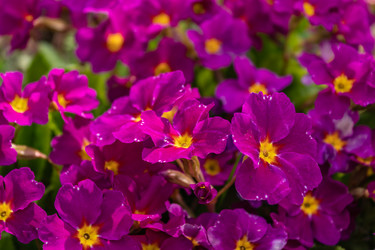 Similar image 21135677