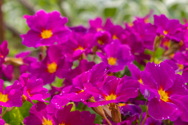 Similar image 21135678