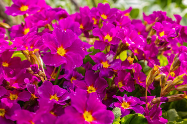 Similar image 21135679