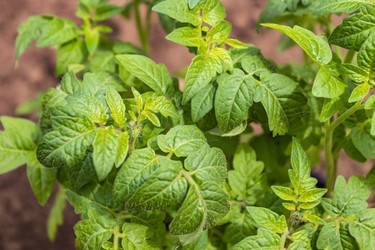 Similar image 21135691