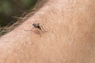 Similar image 21135699