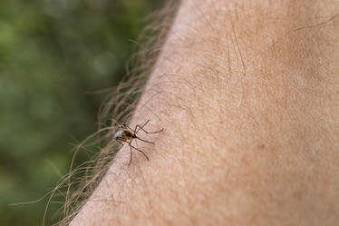 Similar image 21135700