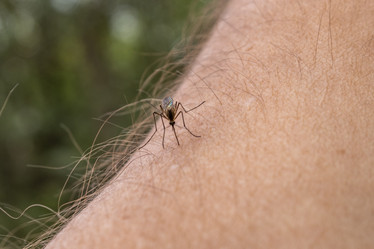 Similar image 21135701