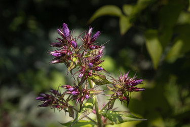 Similar image 21135702