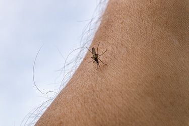 Similar image 21135703