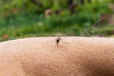 Similar image 21135704