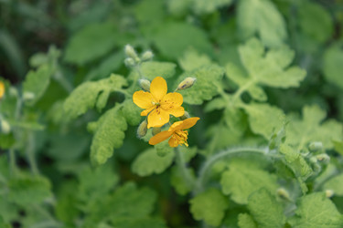 Similar image 21135706