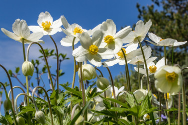 Similar image 21135707