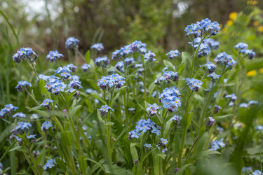 Similar image 21135708