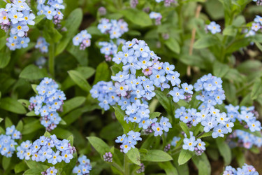 Similar image 21135710