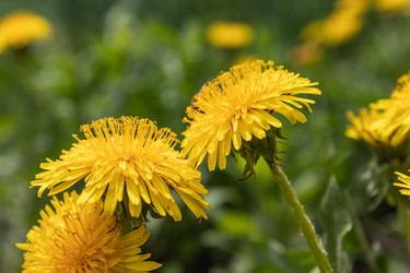 Similar image 21135711