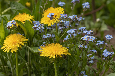 Similar image 21135712