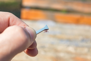 Similar image 21135721