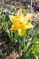 Similar image 21135722