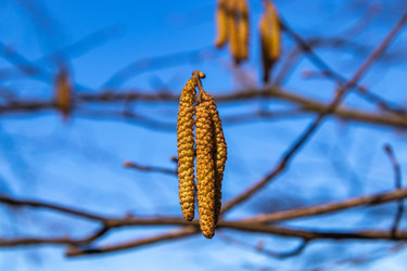 Similar image 21135728