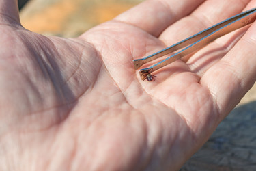 Similar image 21138103