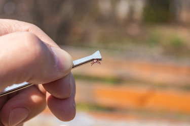 Similar image 21138104