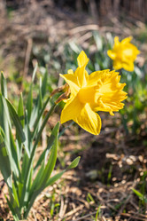 Similar image 21138108