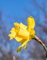 Similar image 21138109