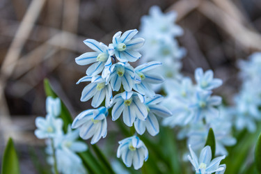 Similar image 21138110